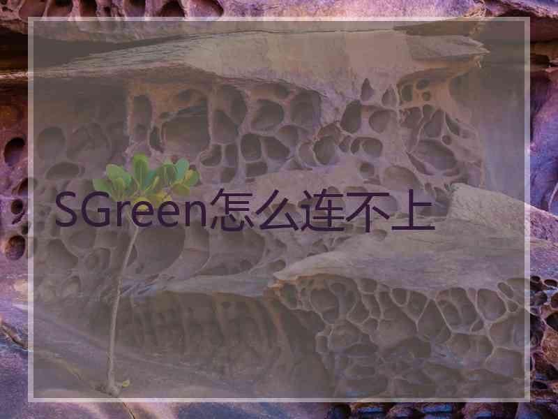 SGreen怎么连不上